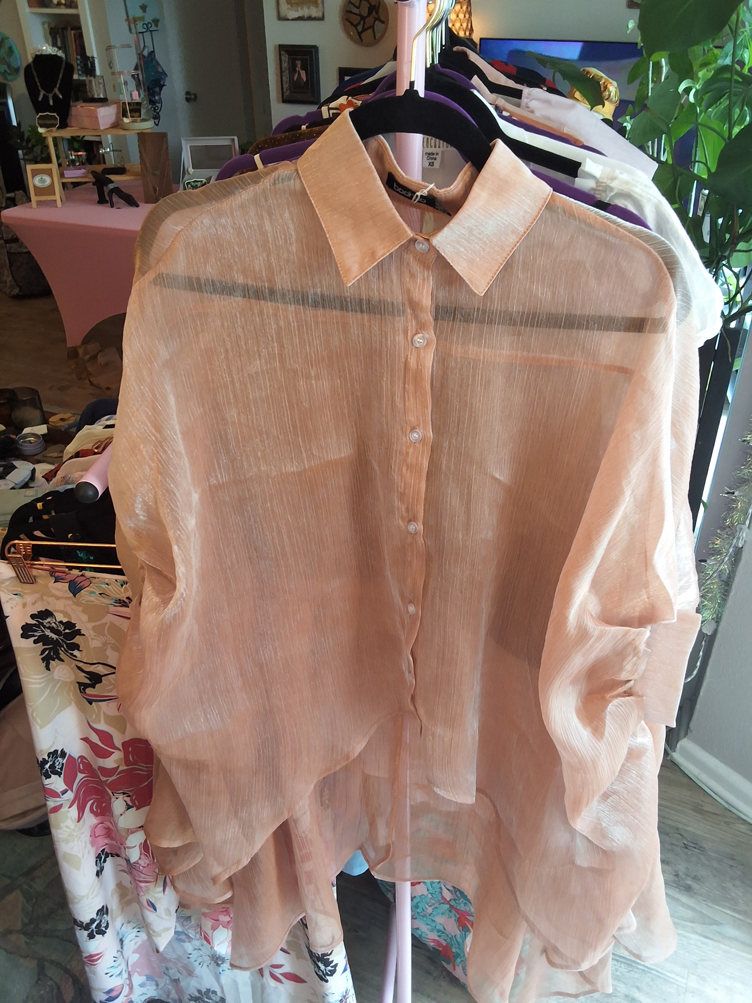 Shiny Sheer Tunic Blouse